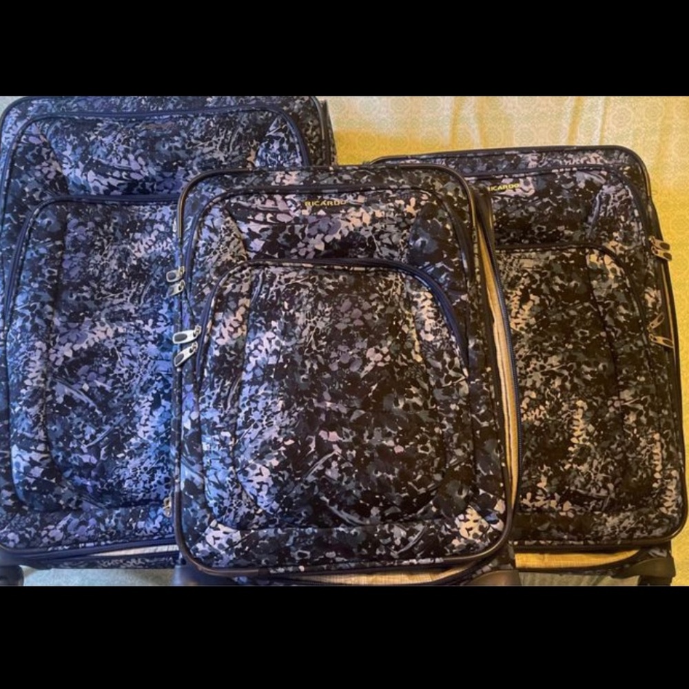 4 piece Luggage Set Ricardo Beverly Hills